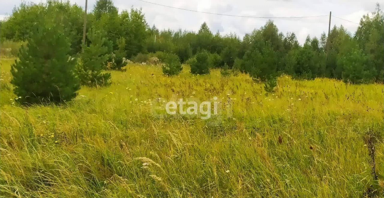 земля р-н Тюменский д Якуши коттеджный пос. Теремки, Каскара фото 4