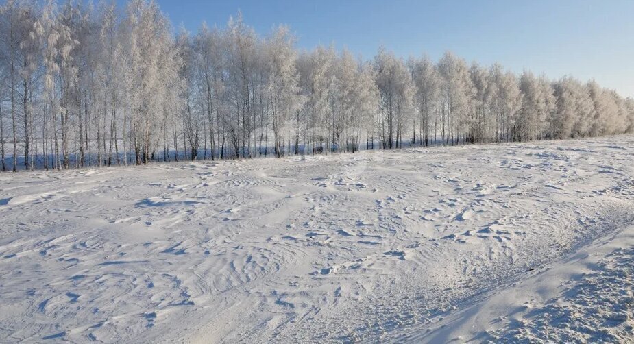 офис р-н Верхнеуслонский с Набережные Моркваши Двориков проезд, 5 фото 2