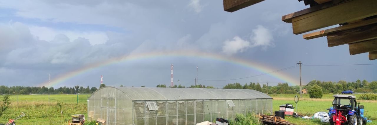 дом р-н Лужский д Долговка Толмачевское городское поселение, Сельскохозяйственного производства тер фото 6