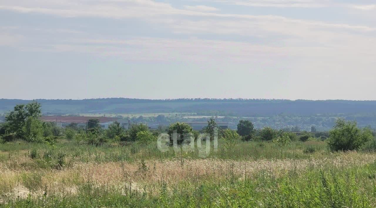 земля г Ростов-на-Дону р-н Советский сад Садовод-Любитель фото 4