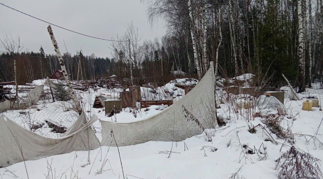 земля городской округ Щёлково с Трубино 100 фото 2