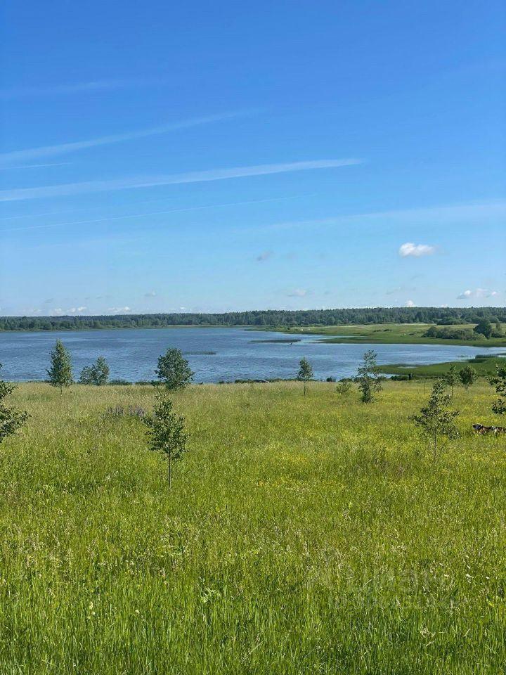 земля направление Рижское (северо-запад) ш Новорижское Волоколамский городской округ, Сычево фото 5