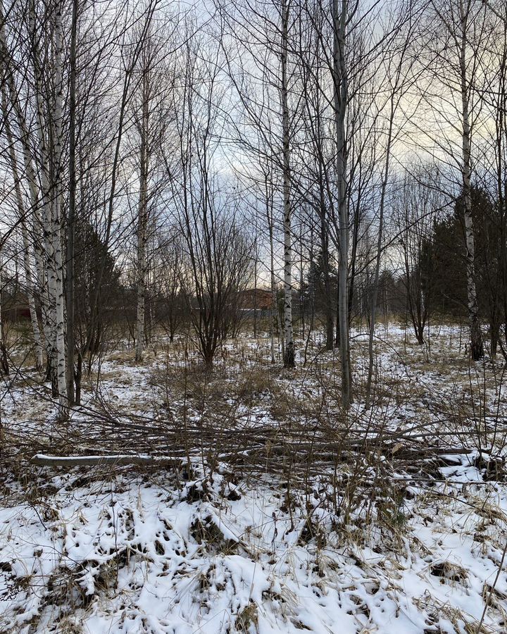 земля р-н Верхнеуслонский снт Родник Республика Татарстан Татарстан, Введенско-Слободское сельское поселение, 250, Казань фото 3