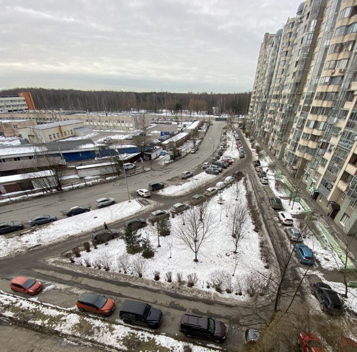 квартира г Санкт-Петербург метро Политехническая ул Веденеева 4 фото 14