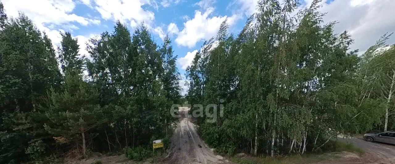 земля р-н Тюменский п Андреевский ул Я.Тилимбаева фото 37