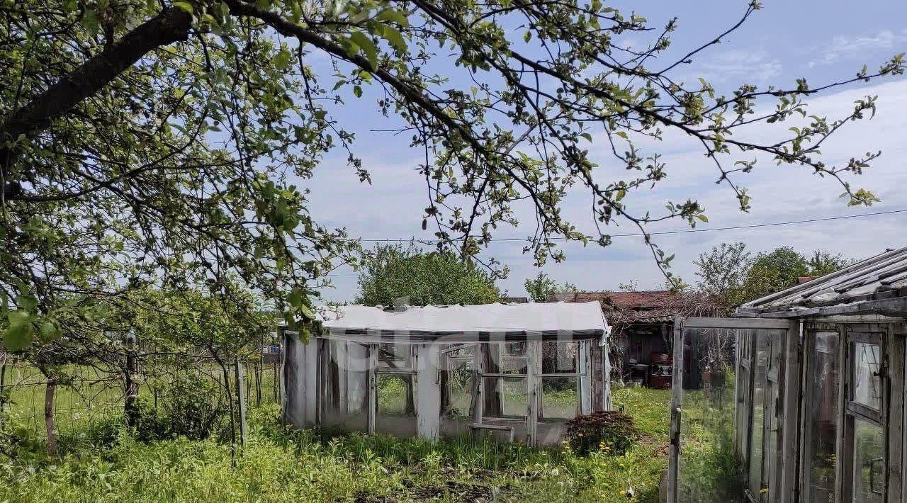 земля г Брянск р-н Бежицкий Надежда, садоводческое товарищество фото 11