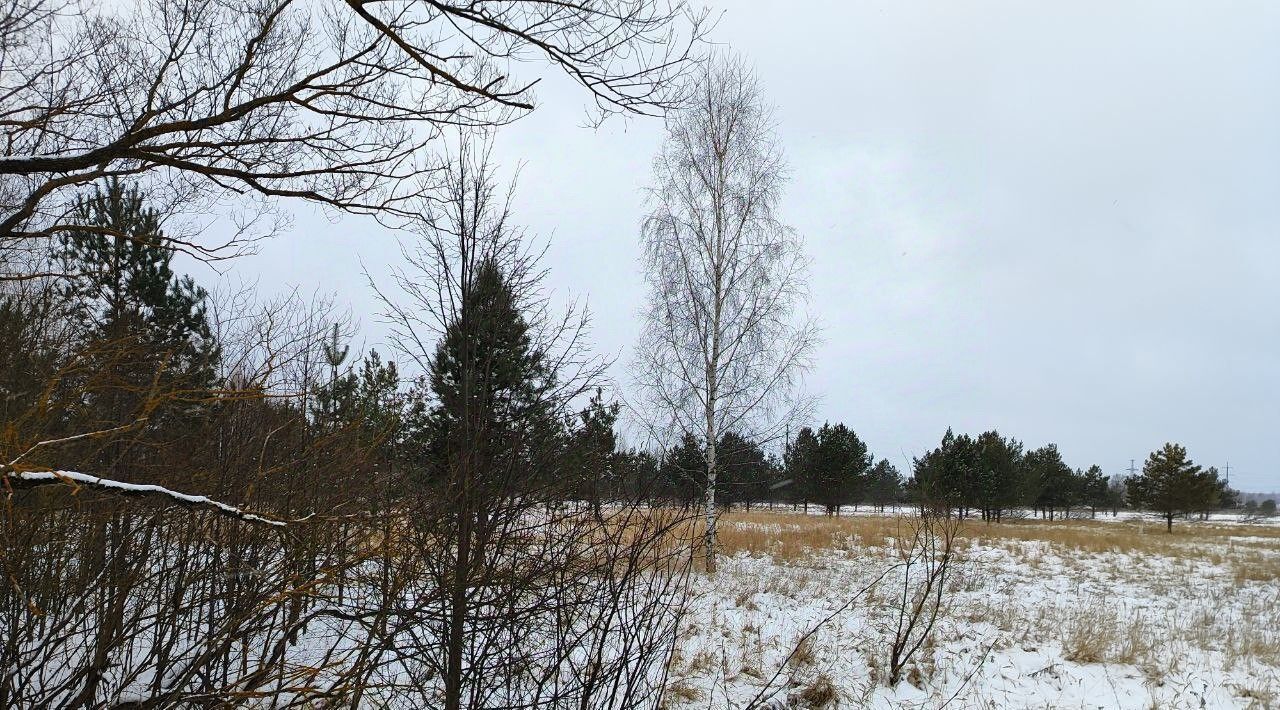 офис городской округ Раменский д Сидорово фото 1