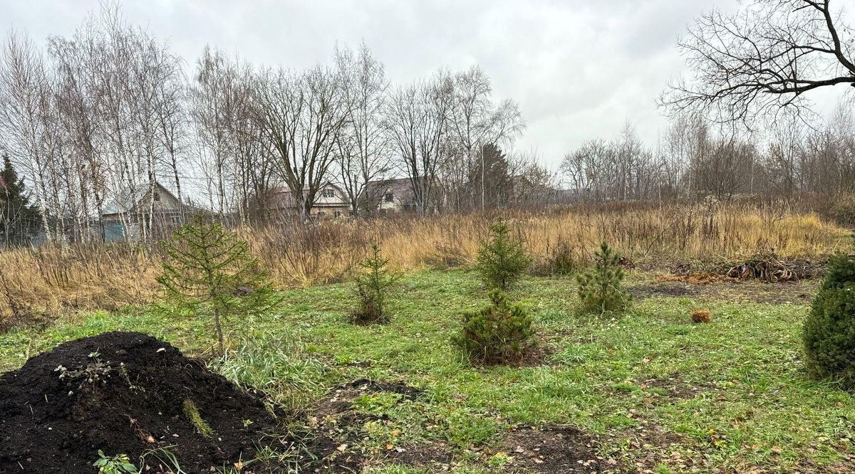 офис городской округ Богородский г Электроугли д. Большое Васильево фото 2