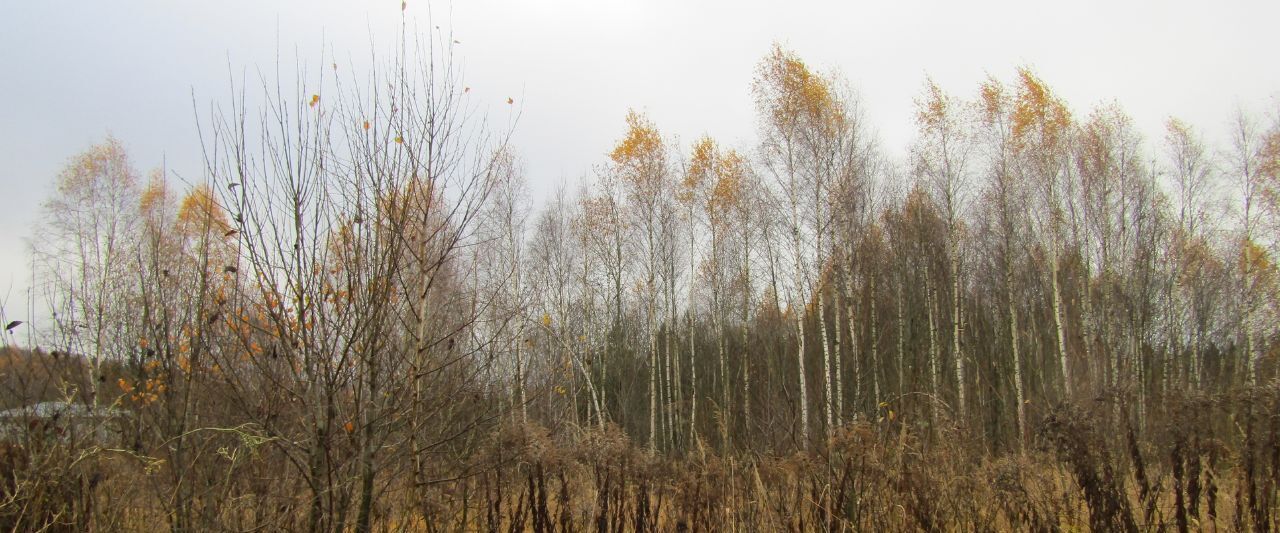 офис городской округ Рузский д Лобково фото 1