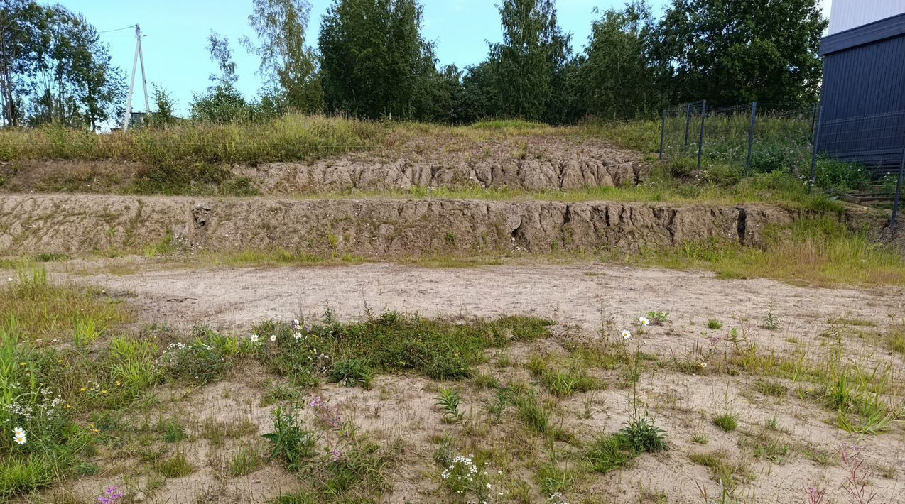 земля р-н Всеволожский п Новое Токсово Токсовское городское поселение, Токсово Озеро Парк кп фото 3