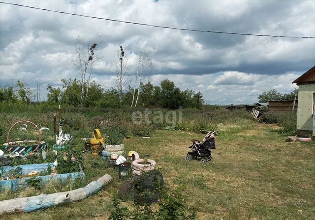 земля аул Сегизбай ул Лесная 19 Азовский р-н, Берёзовское сельское поселение, Азово фото