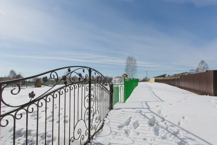 земля р-н Новосибирский п Воробьевский ул Солнечная сельсовет, Новосибирск, Кудряшовский фото 7