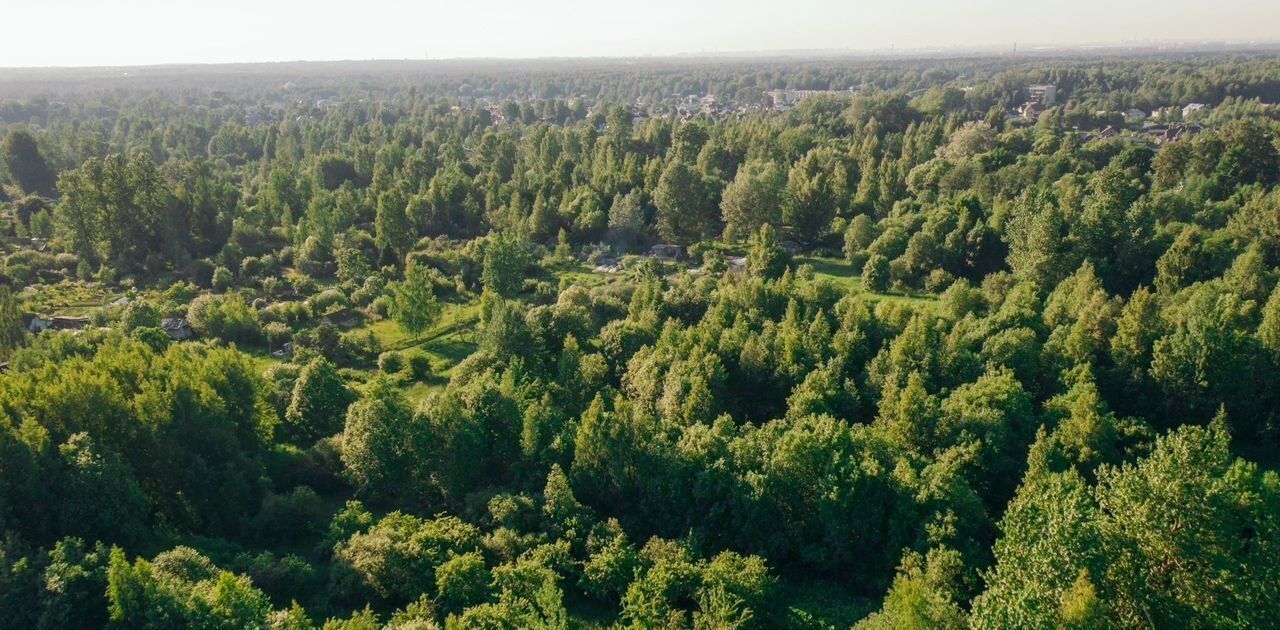 земля г Павловск р-н Пушкинский Негород Павловск кп фото 3