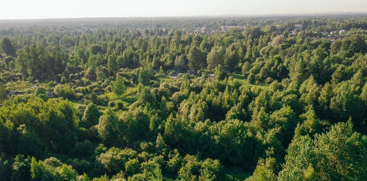 земля г Павловск снт Павловское-1 р-н Пушкинский 10-я линия фото 4