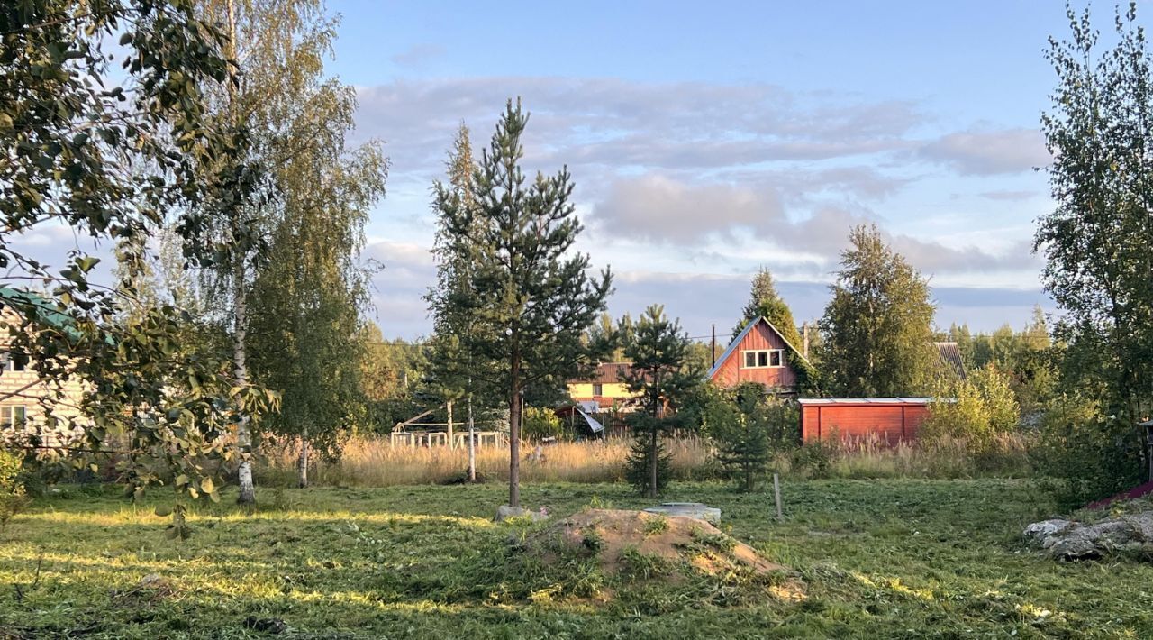 земля р-н Кировский Отрадненское городское поселение, Львовские Лужки ТВЛПХ, ул. Солидарная, 35 фото 2