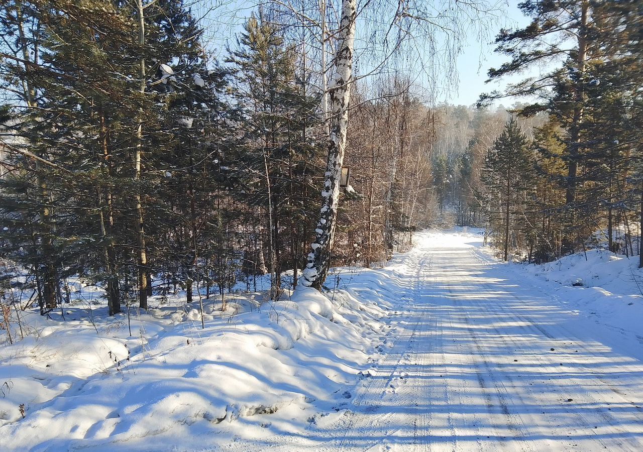 земля р-н Иркутский рп Маркова снт Березняки ул Трактовая 6 фото 9