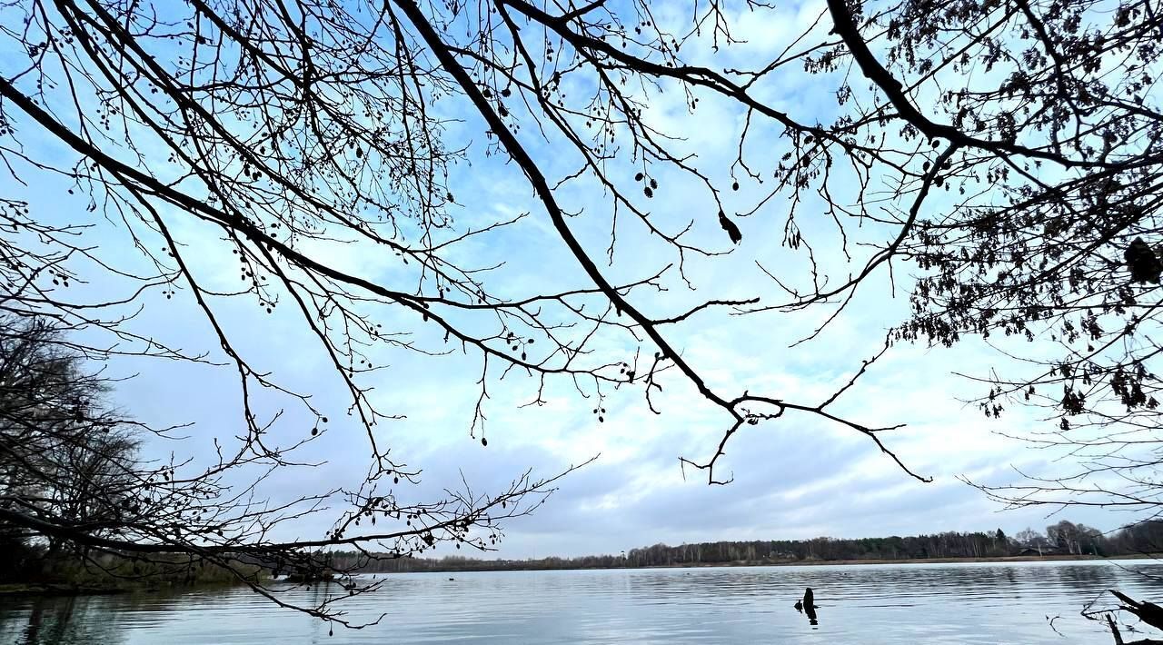 дом городской округ Богородский г Ногинск снт тер.Набережник Железнодорожная, 17 фото 26