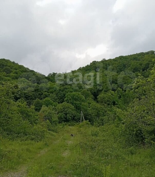 земля р-н Майкопский п Каменномостский ул Мира фото 4