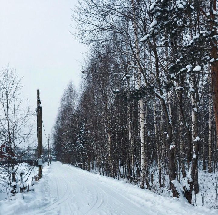 дом р-н Бокситогорский п Крутой Ручей Путиловское с/пос, ул. Ясеневая, Кировский район фото 20