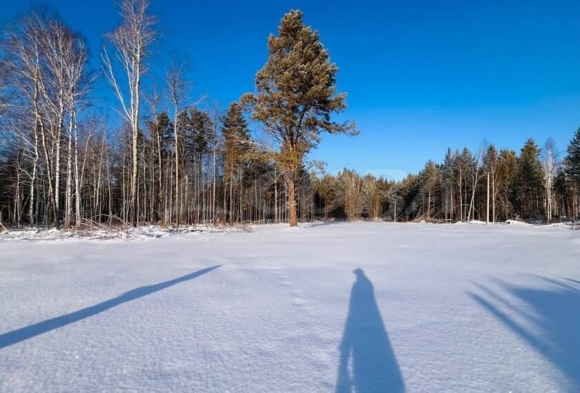 земля р-н Нижнетавдинский с Тюнево пер Транспортный Тюмень фото 5