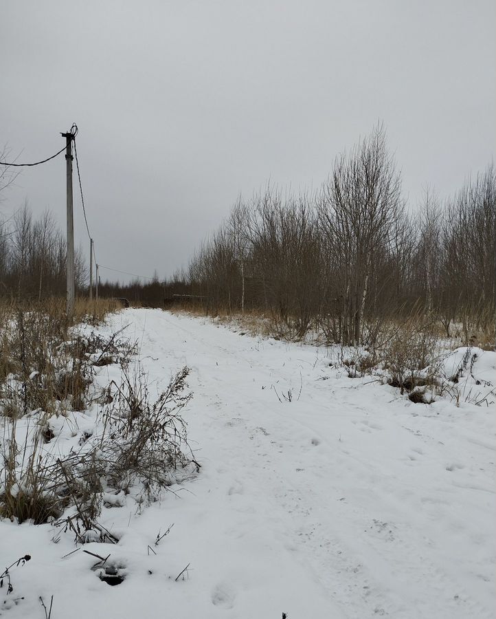 земля р-н Богородский д Трестьяны ул Звездная Дзержинск фото 7