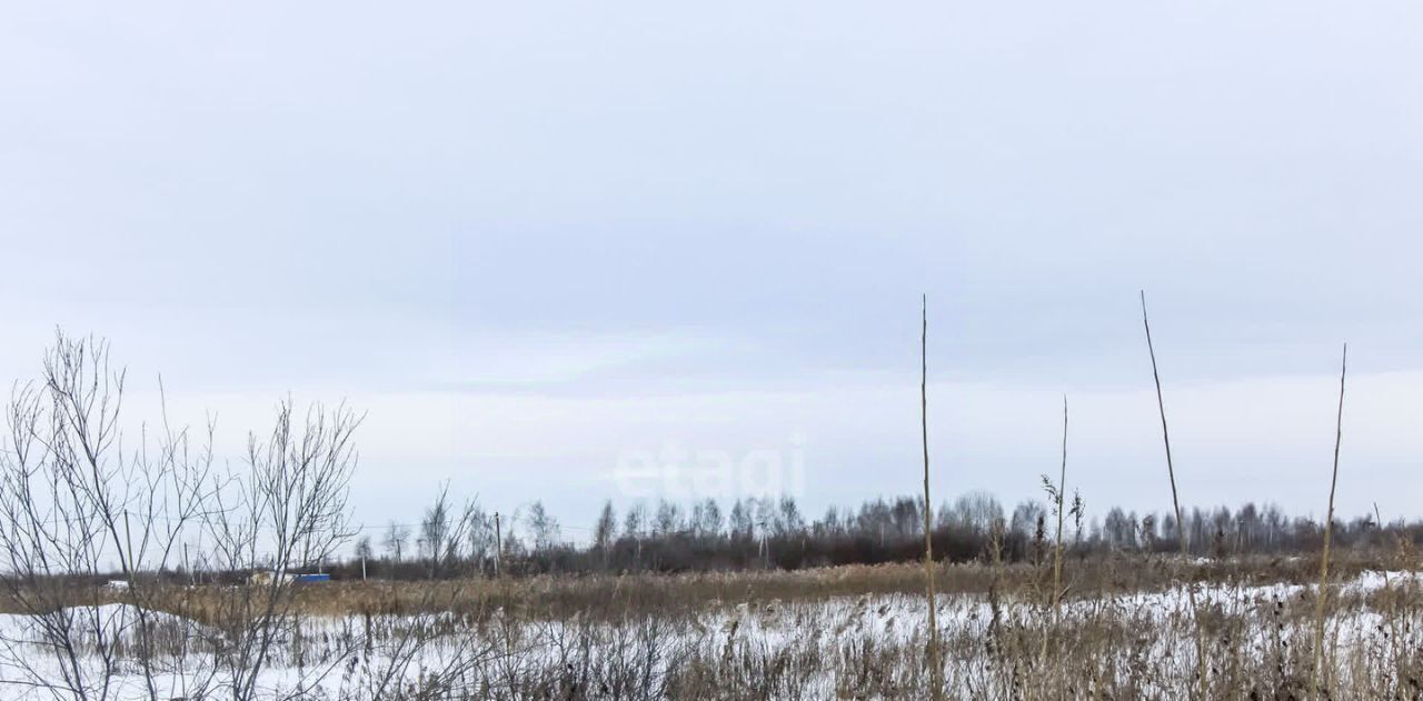 земля г Тюмень р-н Центральный снт Большое Царево-2 фото 10