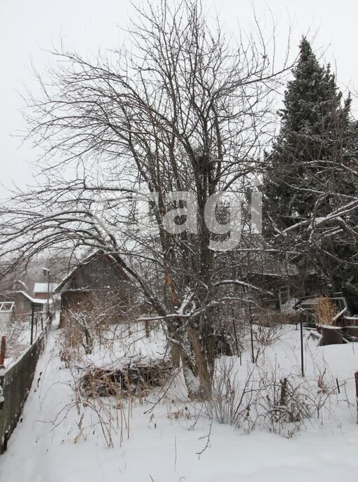 земля г Зеленогорск № 1 ЭВРЗ, 89, Красноярск, садоводческое некоммерческое товарищество Сад фото 11