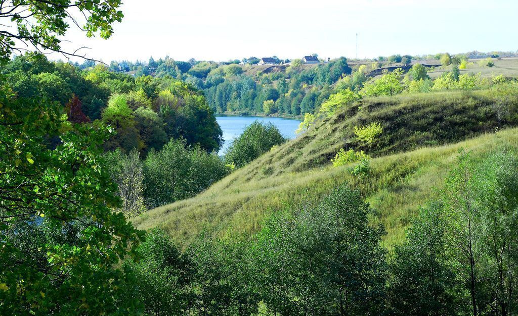 земля р-н Липецкий с Боринское Майская ул фото 2