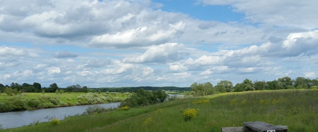 земля р-н Дзержинский д Лужное с пос, Сени фото 2