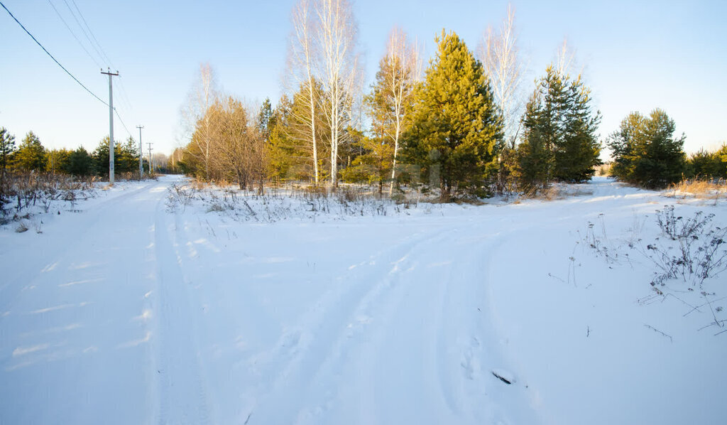 земля г Тобольск снт Колос Заводоуковск фото 1