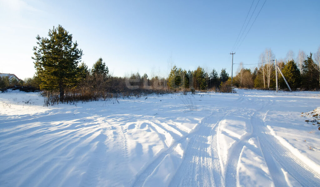 земля г Тобольск снт Колос Заводоуковск фото 3