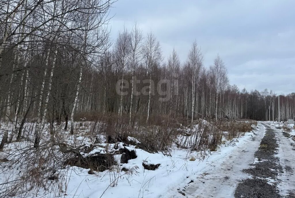 земля р-н Ленинский д Уваровка городской округ Тула фото 3