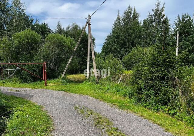 п Лебяжье Выборгское шоссе, 34 км, Рощинское городское поселение, Рощино фото