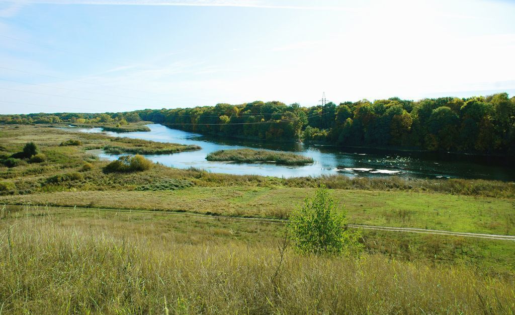 земля р-н Липецкий с Боринское Майская ул фото 5