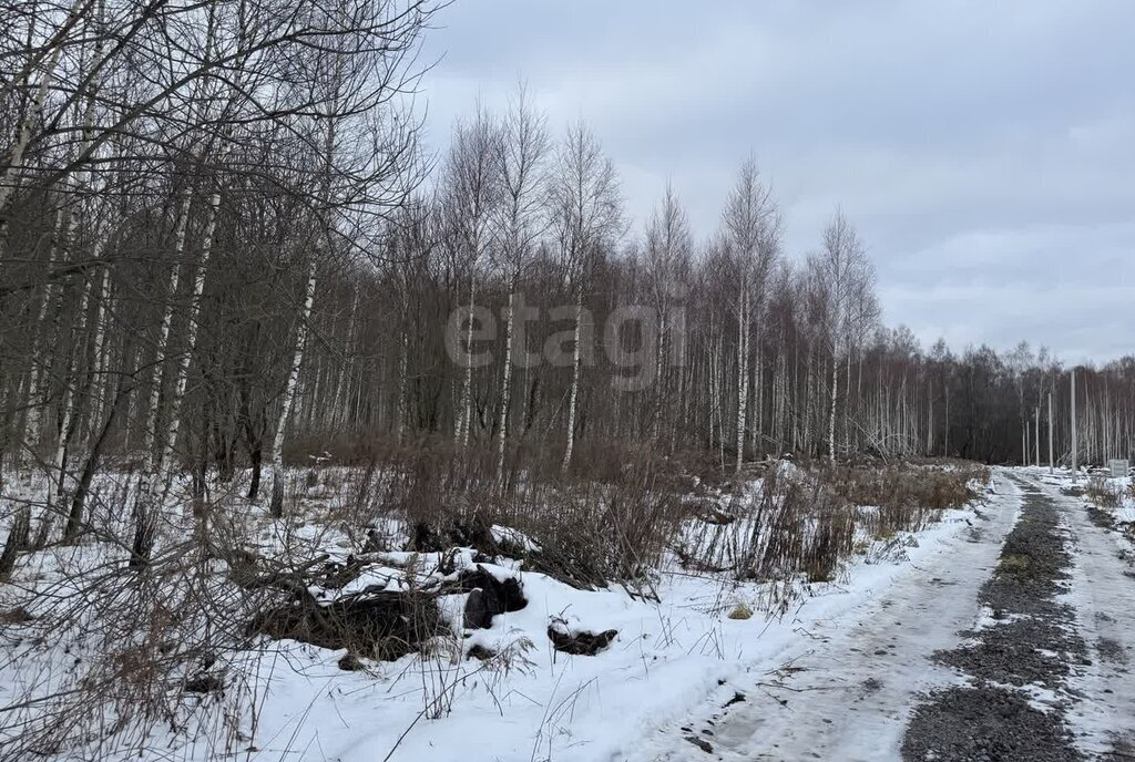 земля р-н Ленинский д Уваровка городской округ Тула фото 2