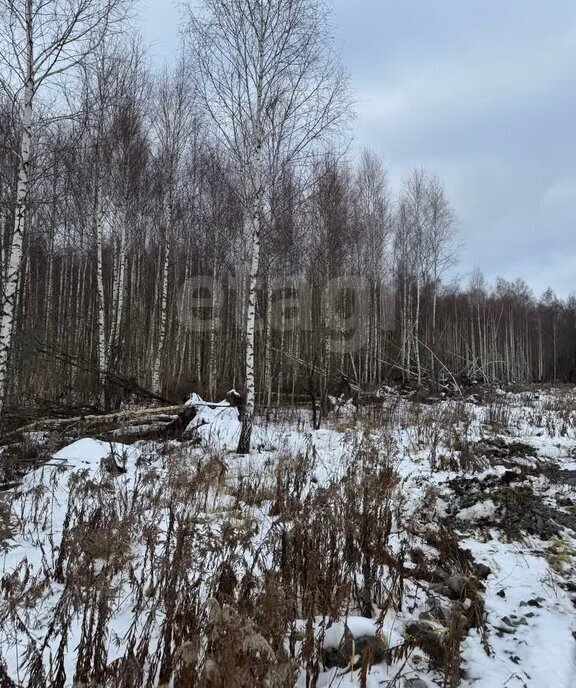 земля р-н Ленинский д Уваровка городской округ Тула фото 8