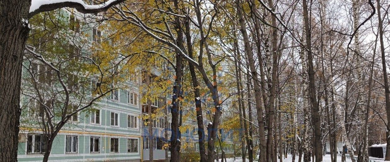 квартира г Москва метро Домодедовская ул Домодедовская 42 фото 11