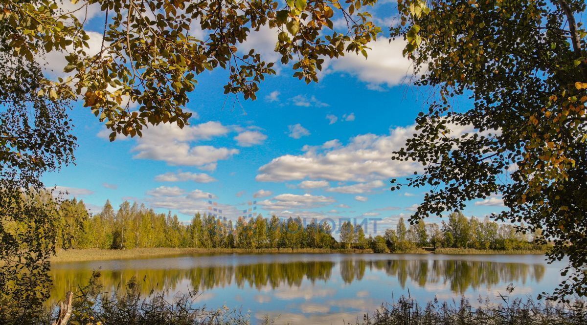 земля р-н Чкаловский д Шубино Бор городской округ фото 7