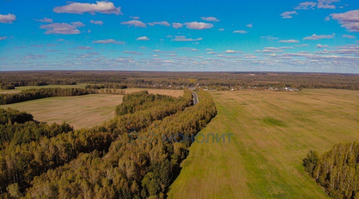 земля р-н Чкаловский д Шубино Бор городской округ фото 6