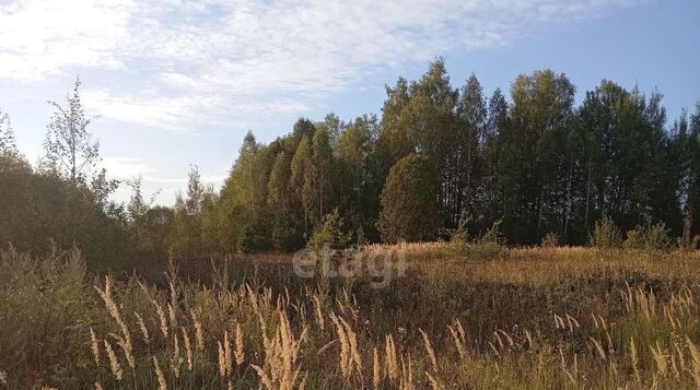 земля д Литвиново с пос, Ландыши кп, Ястребовка фото