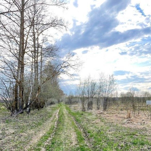 земля р-н Бабынинский д Харское Воротынск городское поселение фото 12