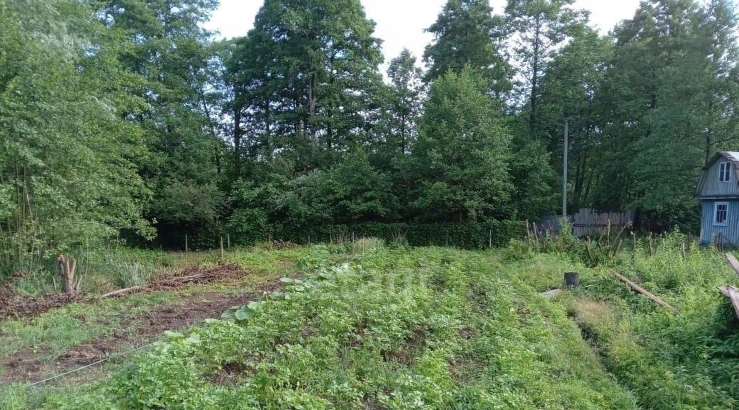 дом р-н Дзержинский п Товарково снт Родник садоводческое товарищество фото 10