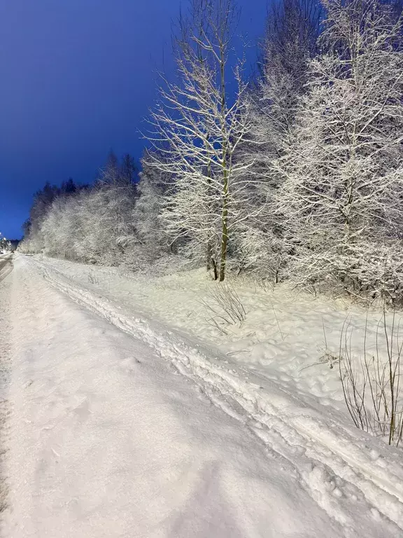 квартира Сестрорецк, Всеволода Боброва улица, 27 фото 14