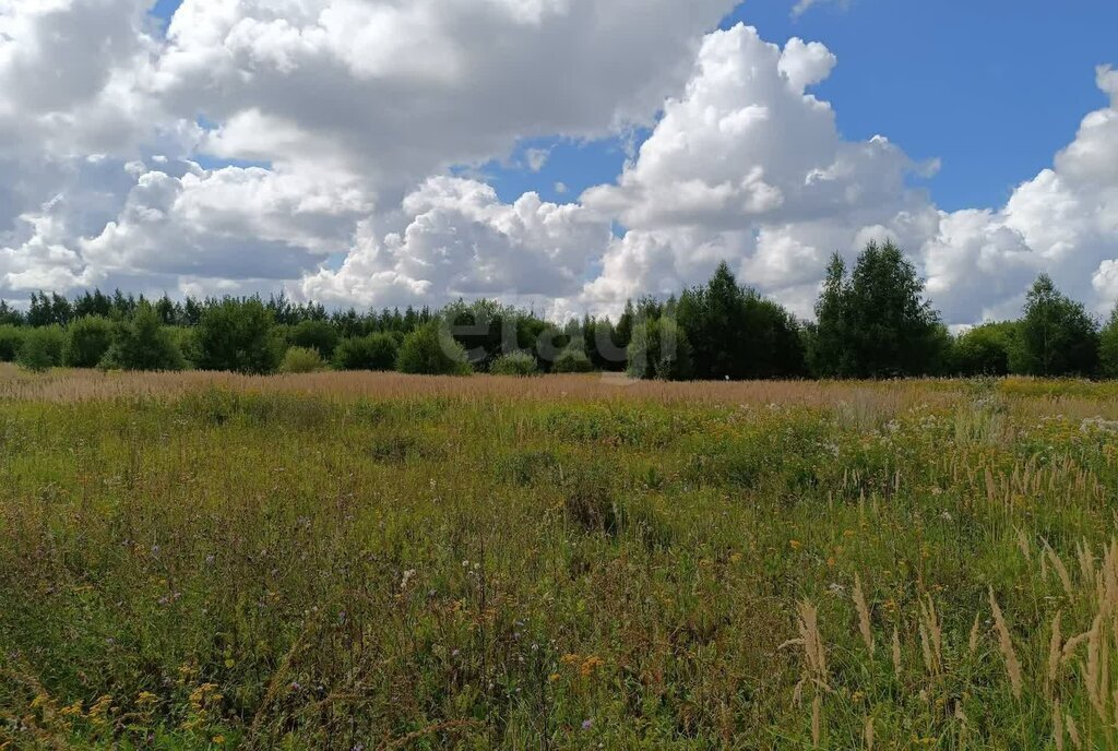 офис г Владимир р-н Октябрьский ул Новгородская фото 7