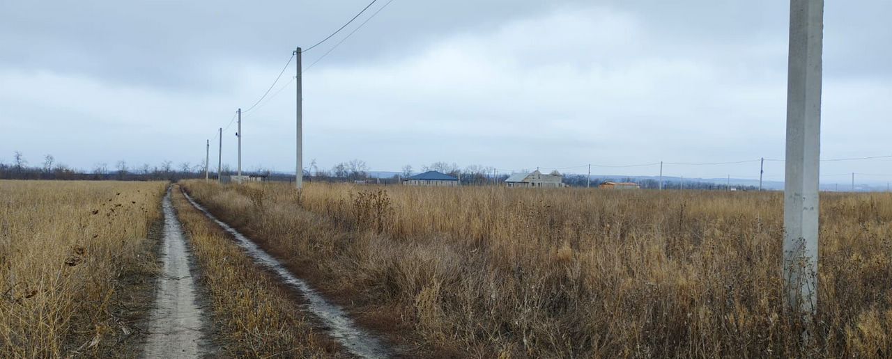 земля р-н Семилукский с Гудовка ул Тенистая Губарёвское сельское поселение, Семилуки фото 3