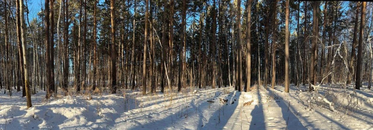 земля р-н Иркутский Петровская Слобода ДНТ, проезд Ангарский фото 12