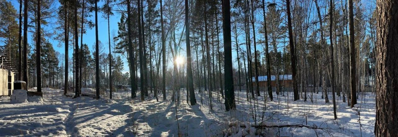 земля р-н Иркутский Петровская Слобода ДНТ, проезд Ангарский фото 19