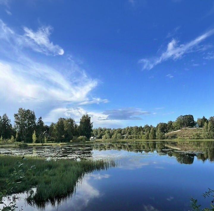 земля р-н Всеволожский снт Защита Токсовское городское поселение фото 2