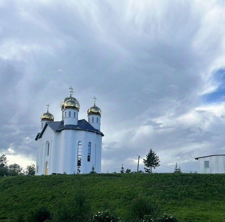 земля р-н Всеволожский снт Защита Токсовское городское поселение фото 8