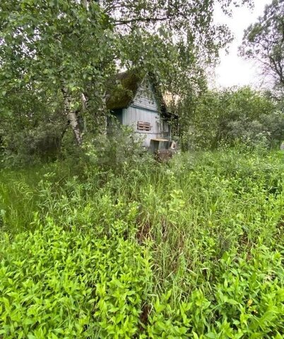 р-н Вологодский снт Радужное Сохатый, Вологда фото